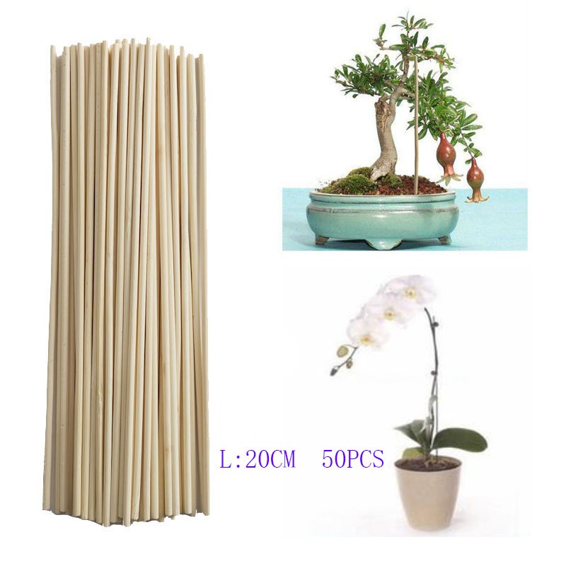 Art Craft Stick - Tiges de cheville en bambou de