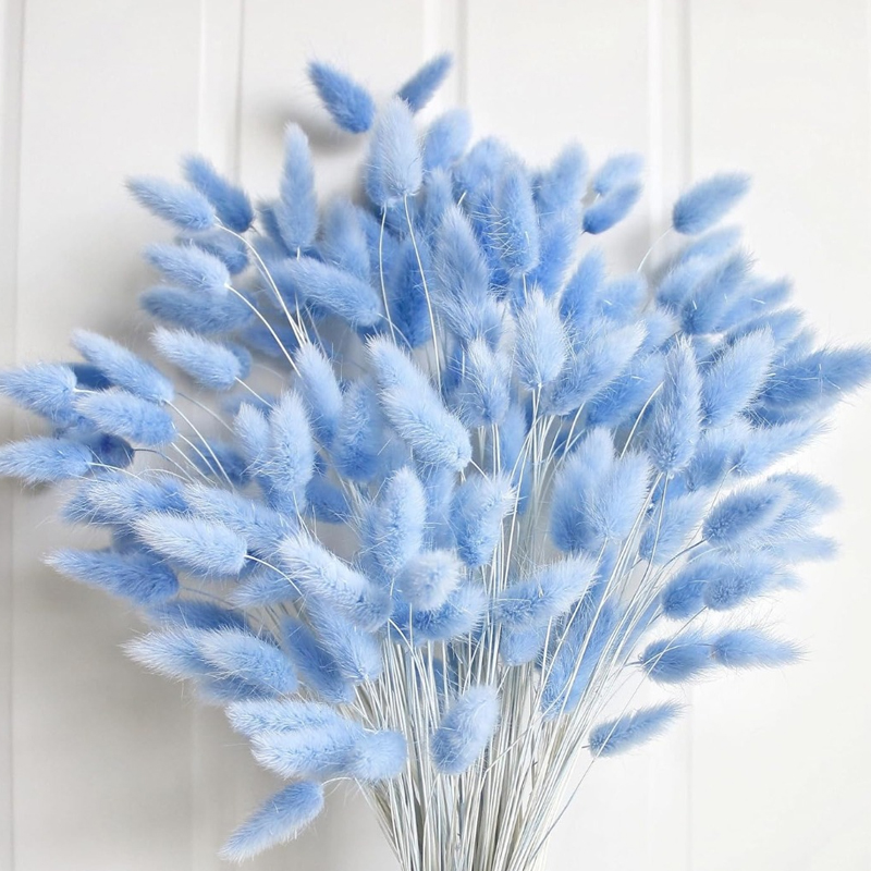 Art Craft Vase - 100 pièces bleu lièvre-queue herbe lapin