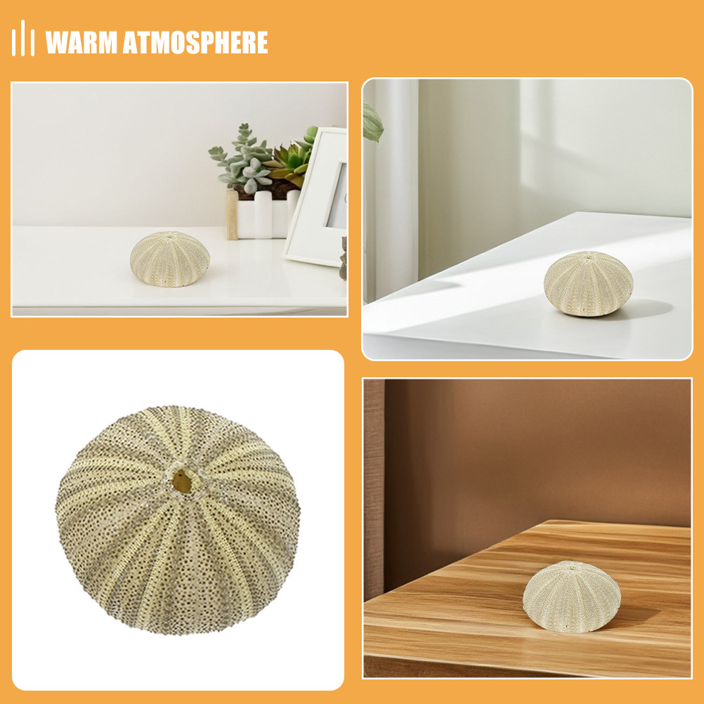 18 coquilles d'ormeaux pour re - Art Craft Vase avis et prix