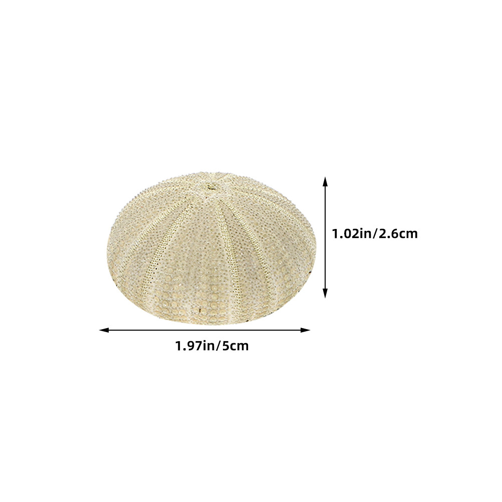 18 coquilles d'ormeaux pour re - Art Craft Vase avis et prix