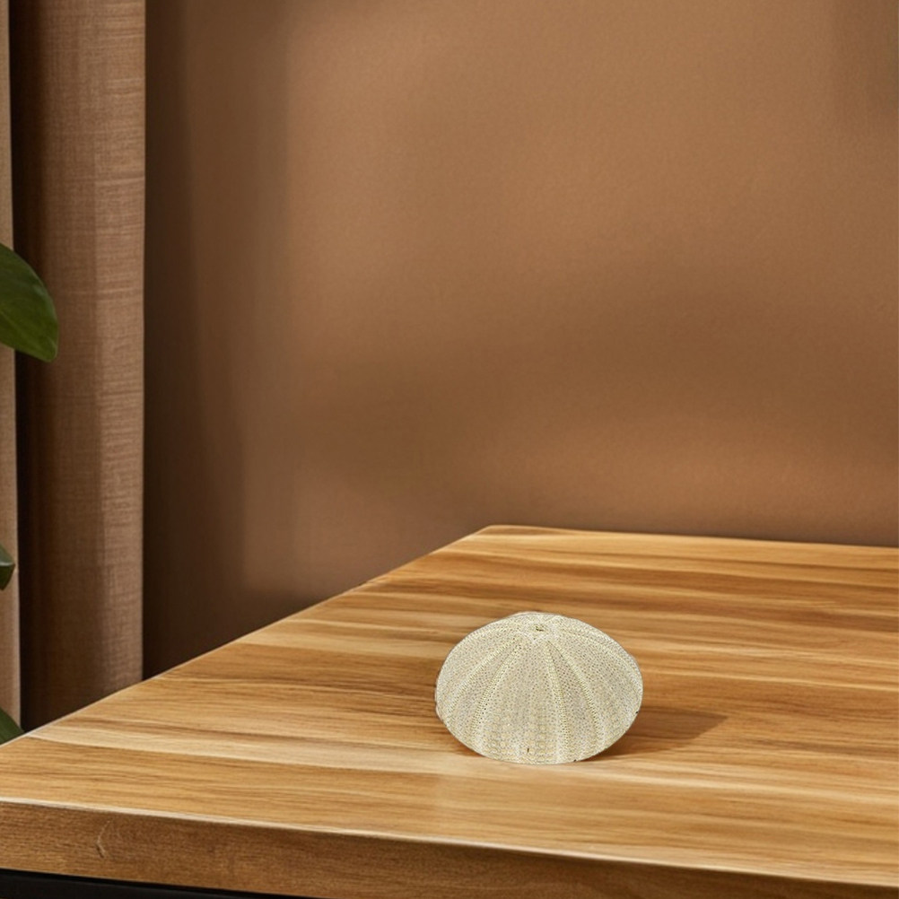 18 coquilles d'ormeaux pour re - Art Craft Vase avis et prix