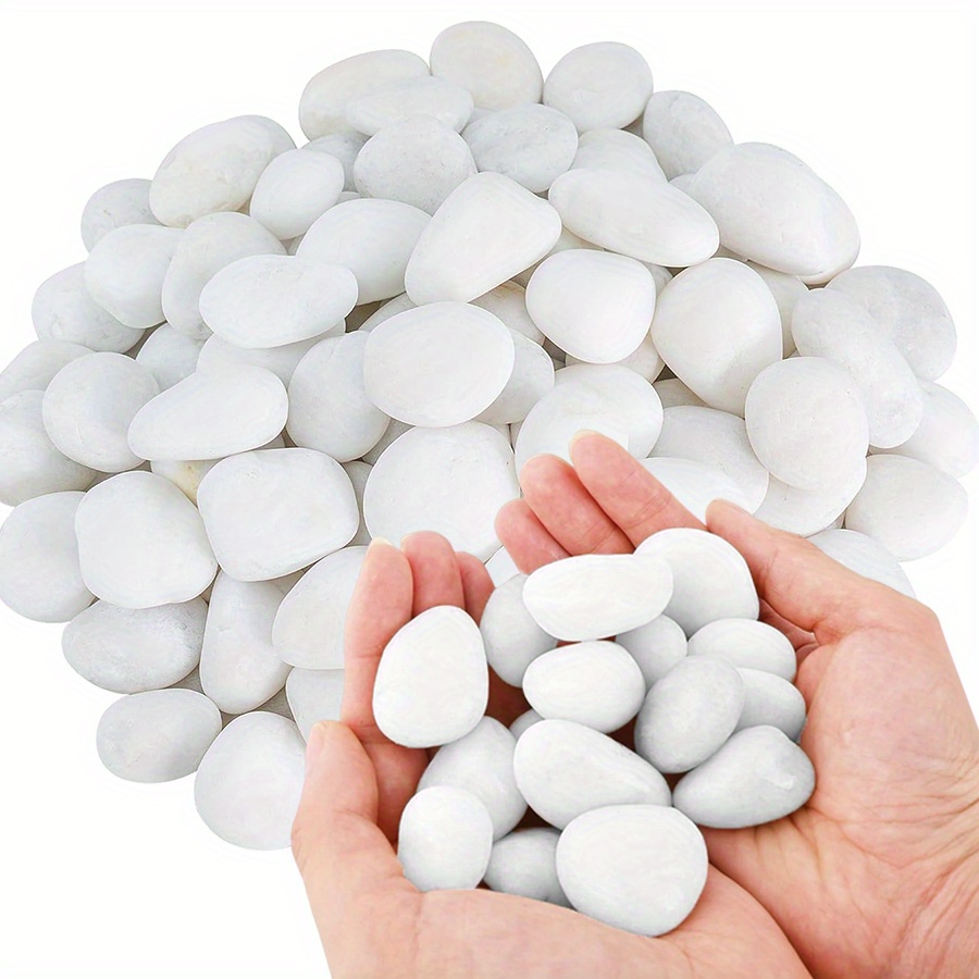 Cerfsets naturels blancs haute - Art Craft Vase avis et prix
