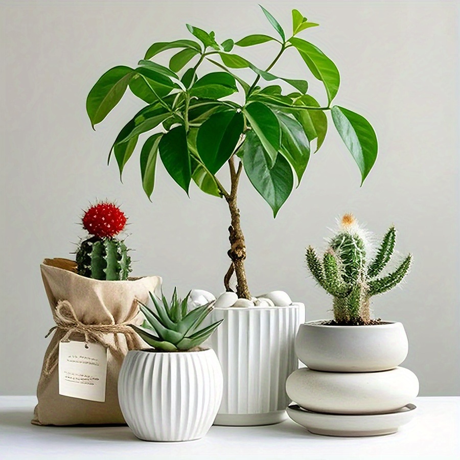 Cerfsets naturels blancs haute - Art Craft Vase avis et prix
