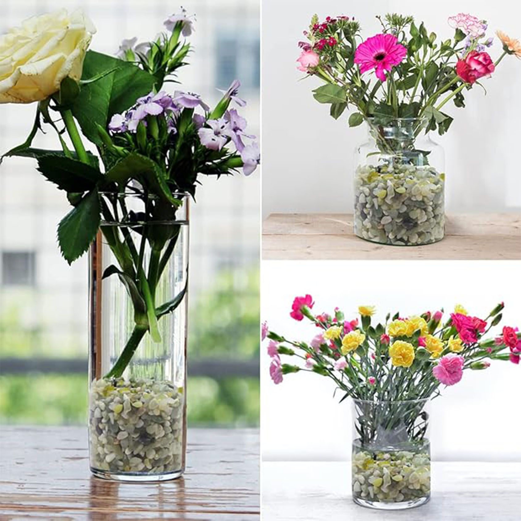Bois succulents et de cactus,  - Art Craft Vase avis et prix