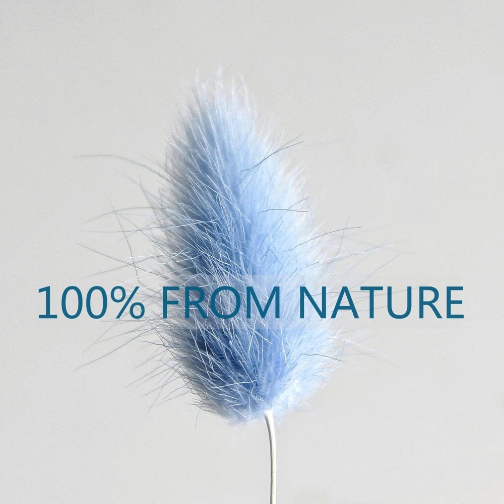 100 pièces bleu lièvre-queue h - Art Craft Vase avis et prix